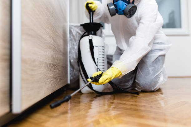 Best Mosquito Control Services  in Santa Anna, TX
