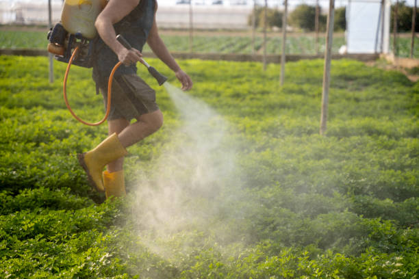 Best Pest Inspection Near Me  in Santa Anna, TX
