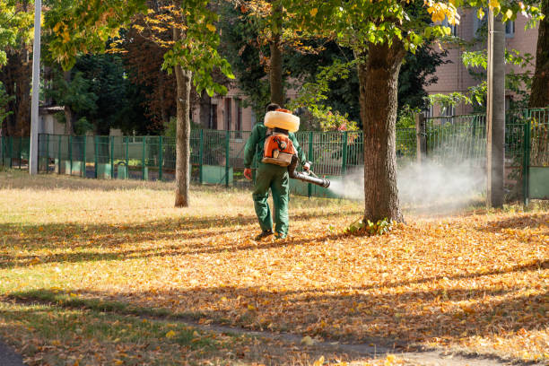 Santa Anna, TX Pest Control Company