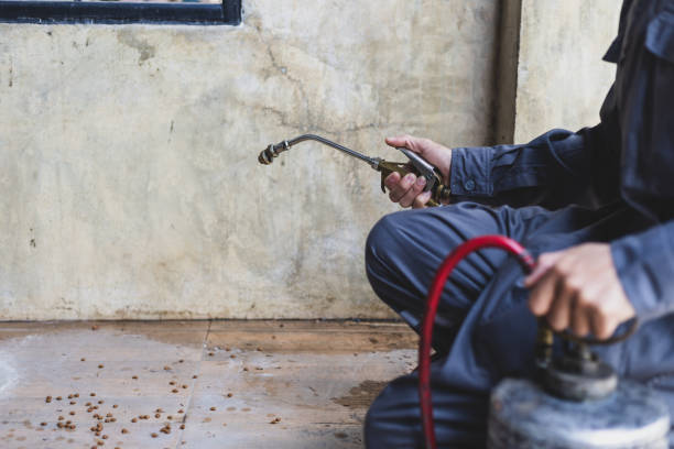 Best Best Pest Control Companies  in Santa Anna, TX